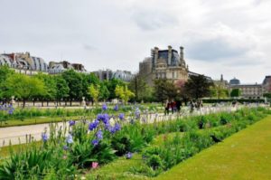 Jardin des tuilerie Paris